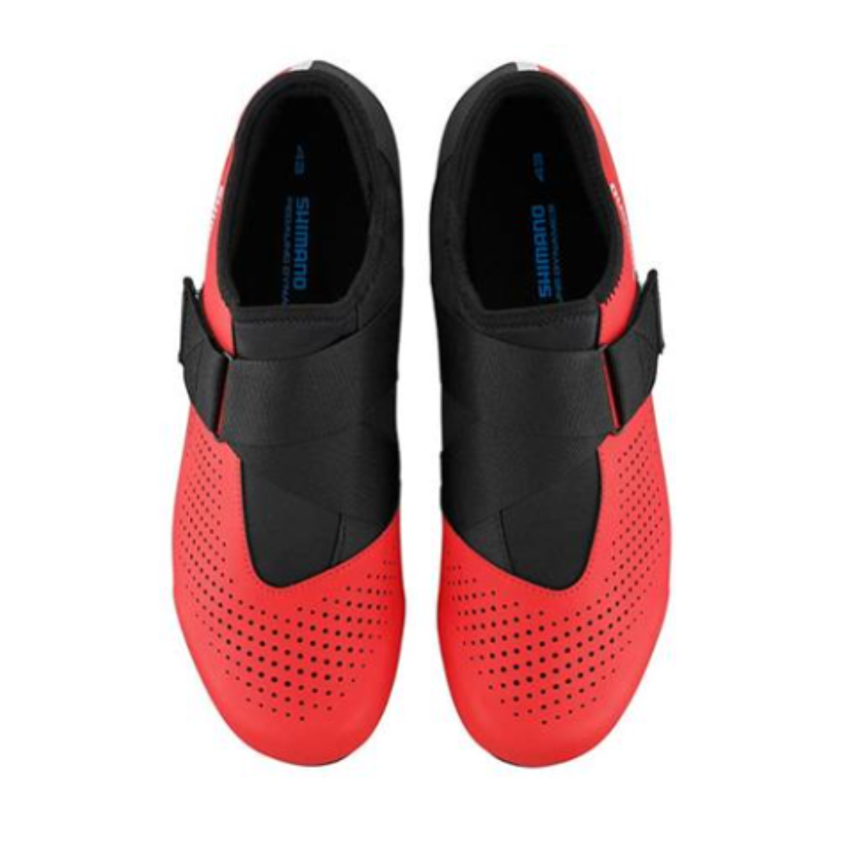 Sapatilha Shimano Road SH-RP101