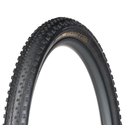 Pneu Bontrager Vallnord RSL XR - Tubeless Ready